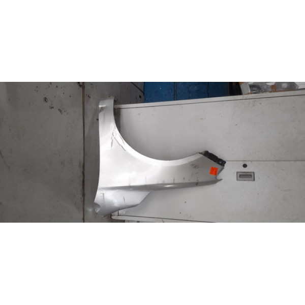 Para Lama Esquerdo Cerato 2010