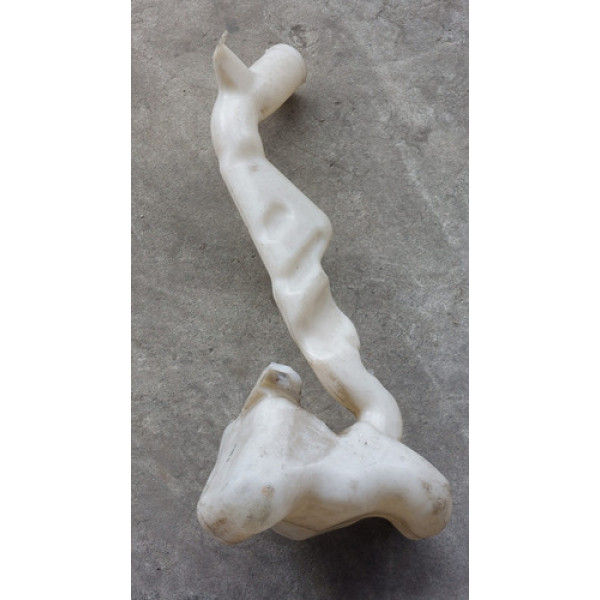 Reservatório De Água Do Limpador De Para-brisa Fox 2012