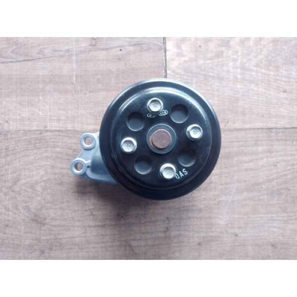 Bomba Dágua   Polia Hyundai Hb20 1.0 3cc 2021