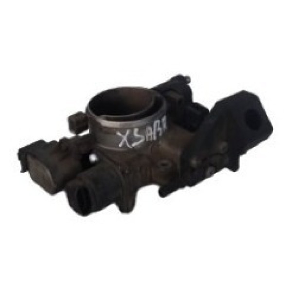 Tbi Corpo De Borboleta Citroen X Sara Picasso 