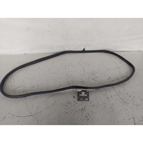 Borracha Porta Dianteira Direita Chery Tiggo 7pro 1.6 2022